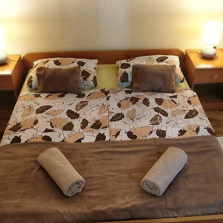 Apartments Vidos Drežnik Grad Екстериор снимка