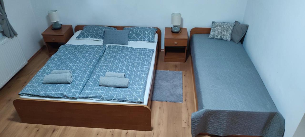 Apartments Vidos Drežnik Grad Екстериор снимка