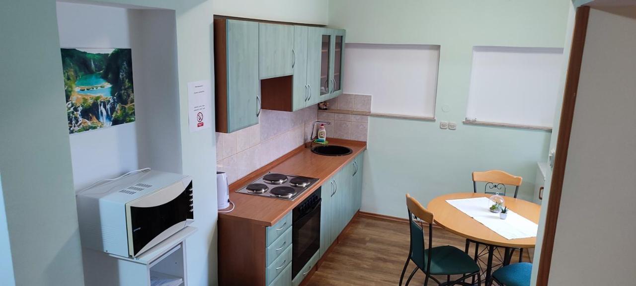 Apartments Vidos Drežnik Grad Екстериор снимка