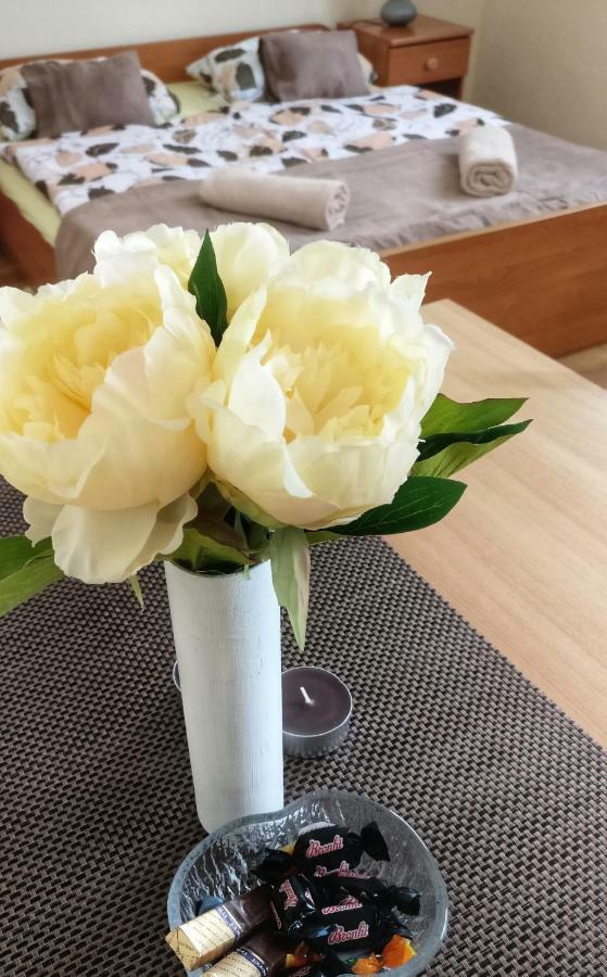 Apartments Vidos Drežnik Grad Екстериор снимка